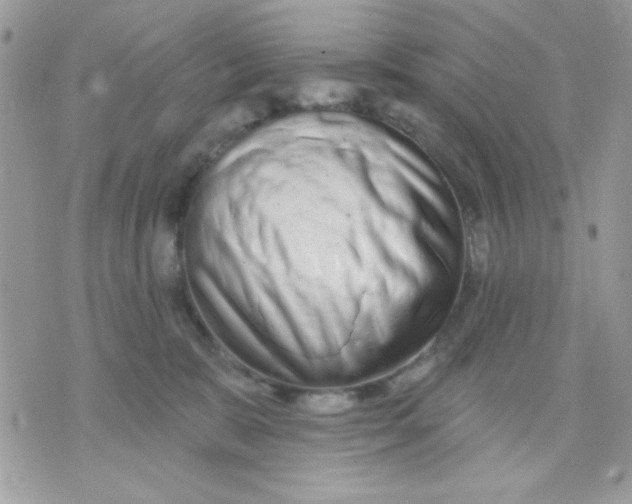 X0000070880327200607071954