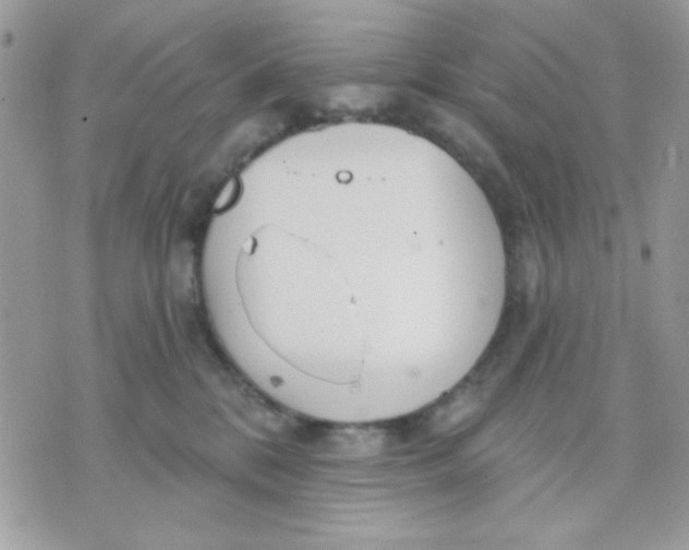 X0000070880328200607071954