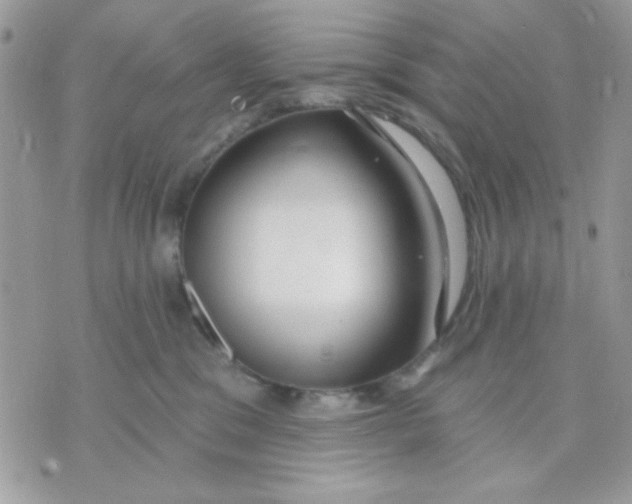 X0000070880329200607071954