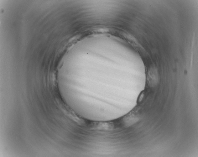 X0000070880330200607071954