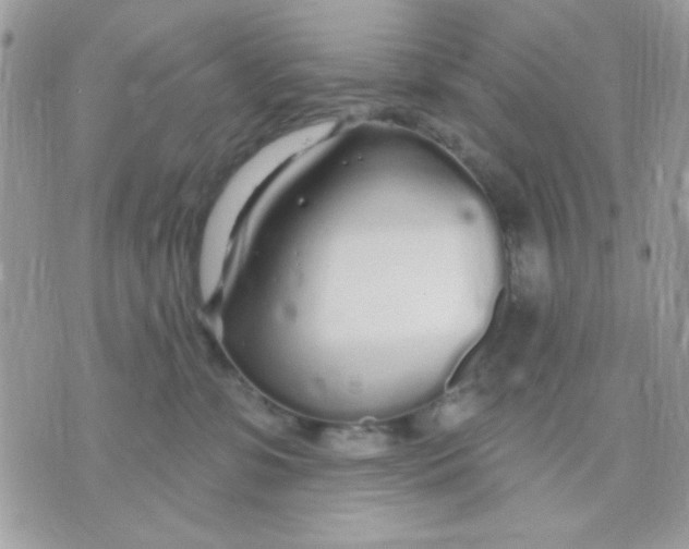 X0000070880331200607071954