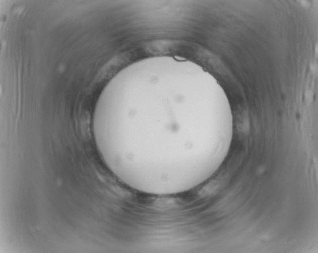 X0000070880332200607071954