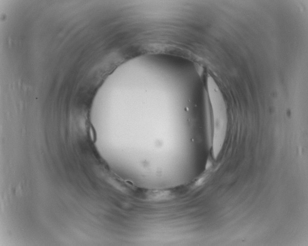 X0000070880334200607071954