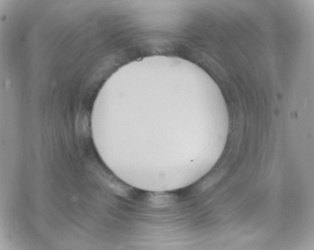 X0000070880336200607071954