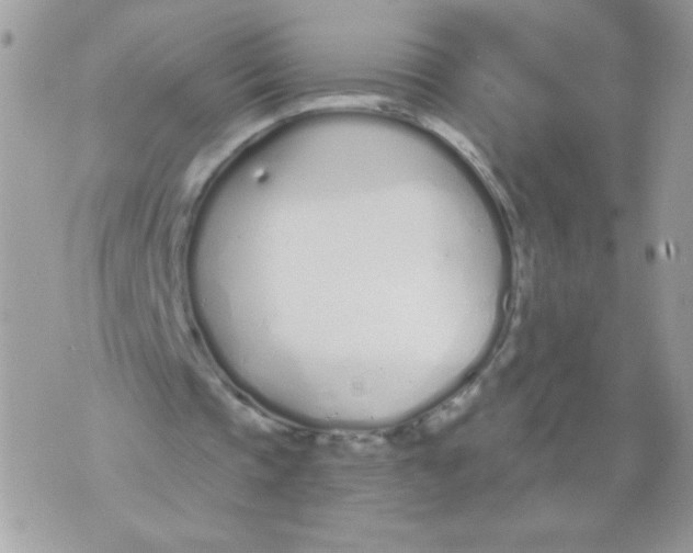 X0000070880337200607071953