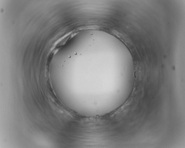 X0000070880338200607071953