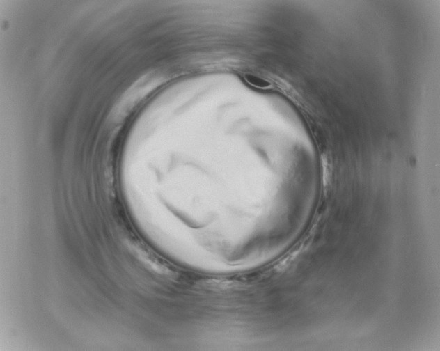 X0000070880339200607071953