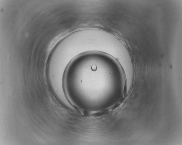 X0000070880340200607071953