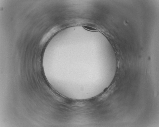 X0000070880341200607071953