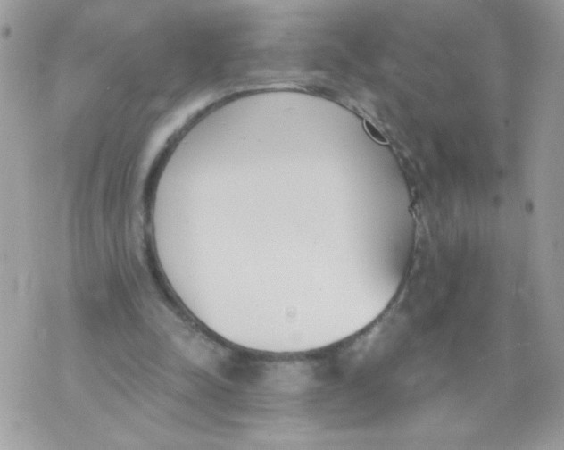 X0000070880342200607071953