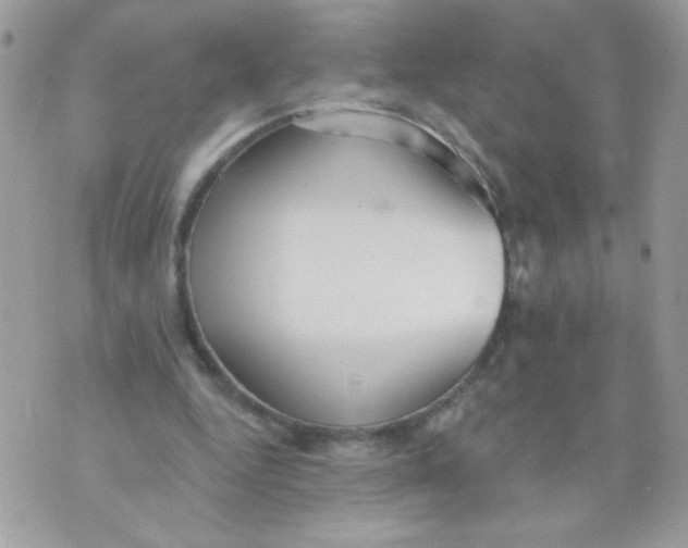 X0000070880344200607071953