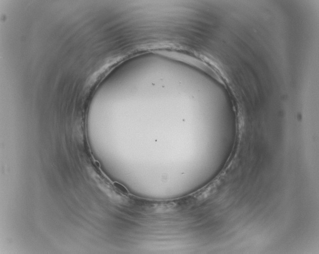 X0000070880345200607071953