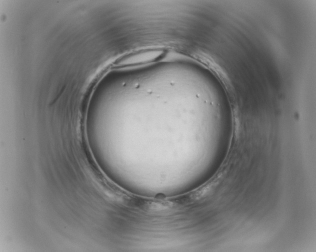 X0000070880346200607071953