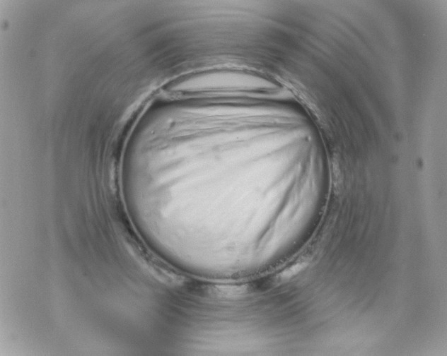 X0000070880347200607071953