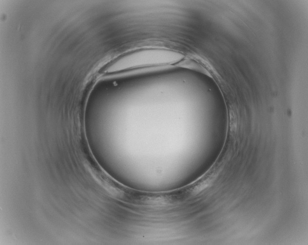 X0000070880349200607071953