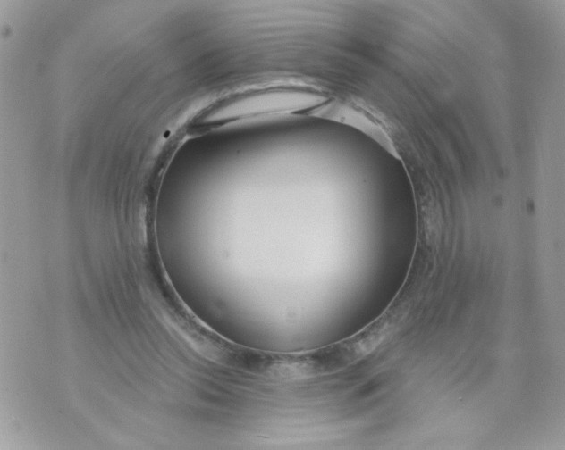 X0000070880350200607071953