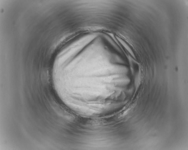 X0000070880351200607071953