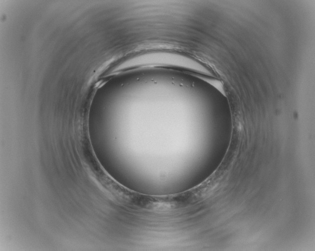 X0000070880352200607071953