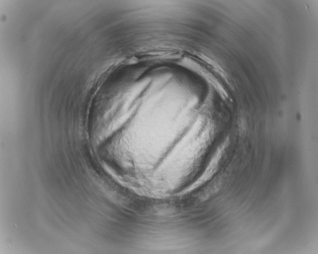 X0000070880353200607071953