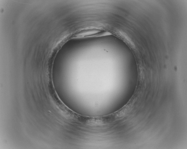 X0000070880354200607071953