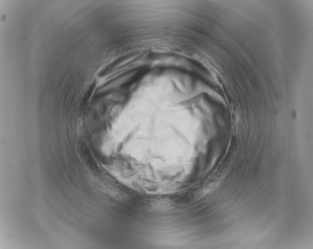 X0000070880355200607071953