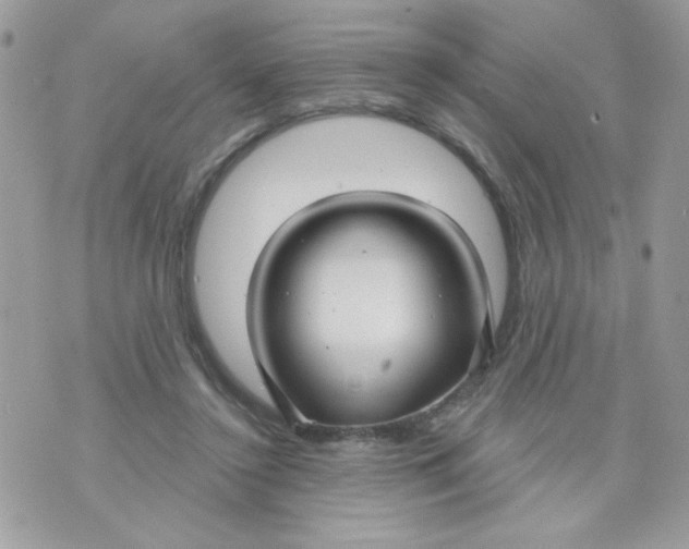 X0000070880356200607071953