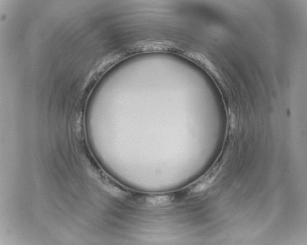 X0000070880357200607071953