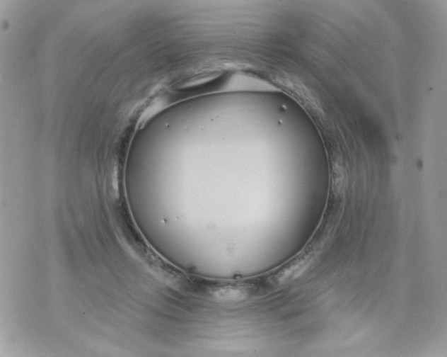 X0000070880358200607071953