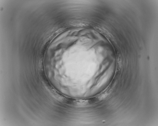 X0000070880359200607071953