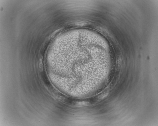 X0000070880360200607071953