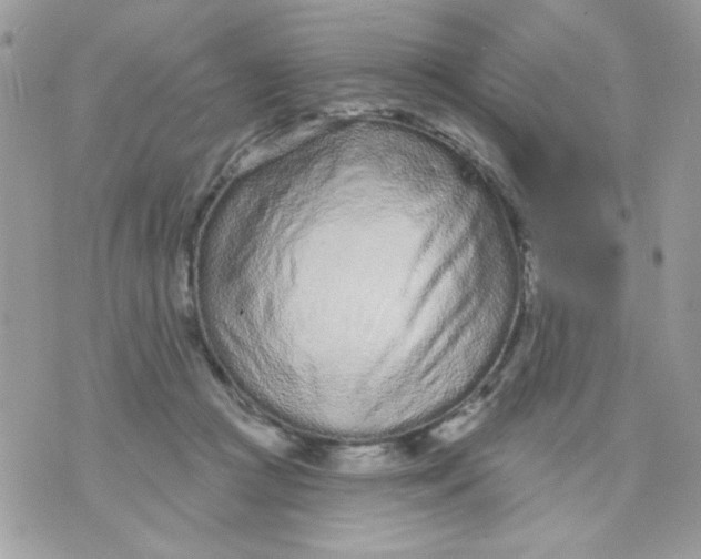 X0000070880361200607071953