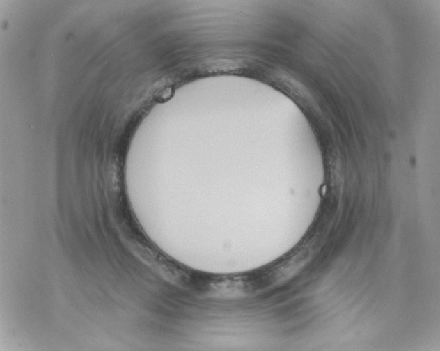 X0000070880362200607071953