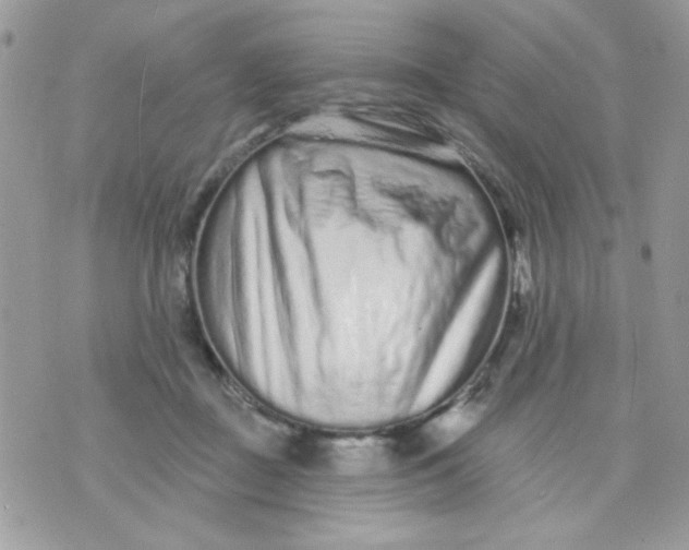 X0000070880363200607071953