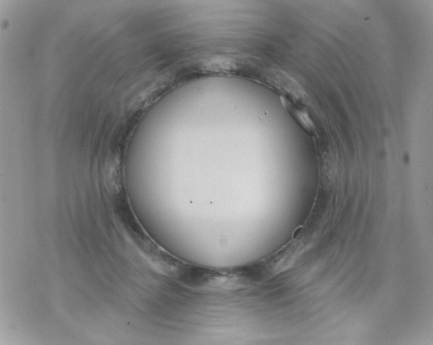 X0000070880364200607071953