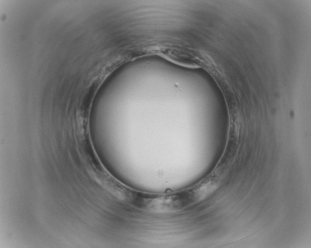 X0000070880366200607071953