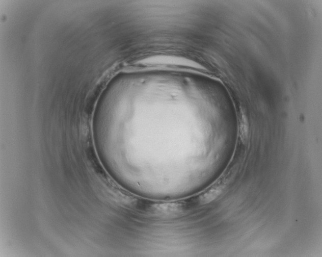 X0000070880367200607071953