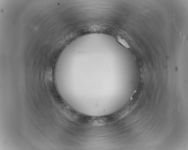 X0000070880368200607071953