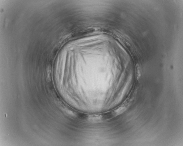 X0000070880369200607071953