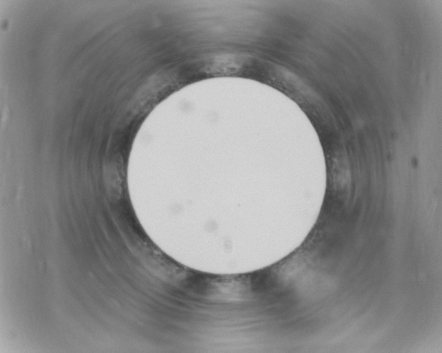 X0000070880370200607071954