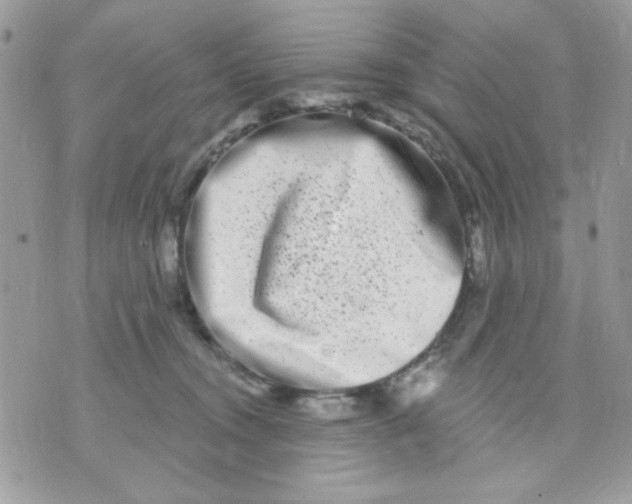 X0000070880372200607071954