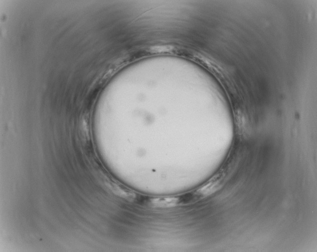 X0000070880373200607071954