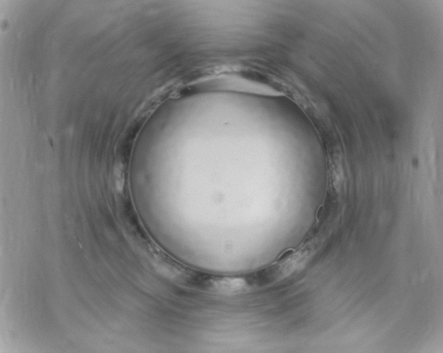 X0000070880374200607071954