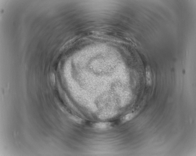 X0000070880375200607071954