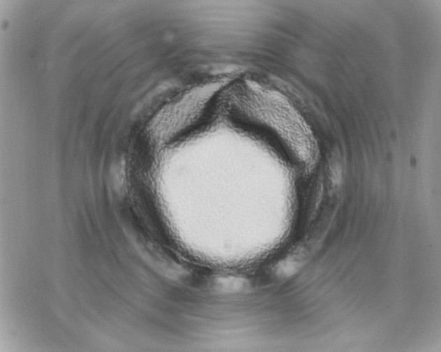 X0000070880376200607071954