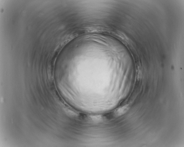 X0000070880377200607071954