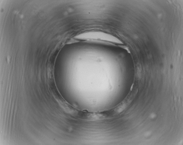 X0000070880379200607071954