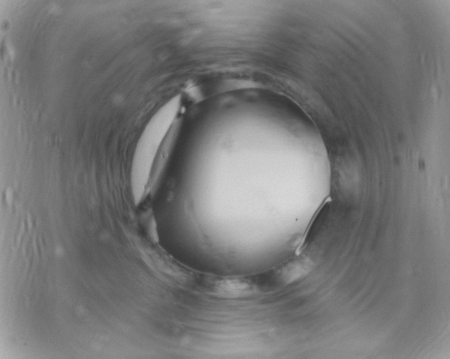 X0000070880380200607071954