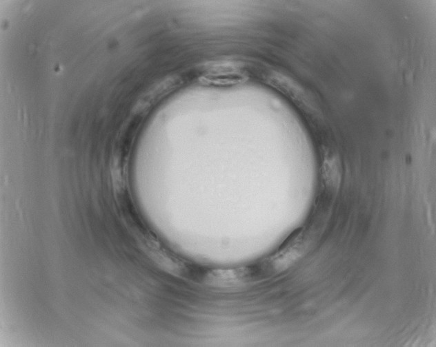 X0000070880381200607071954