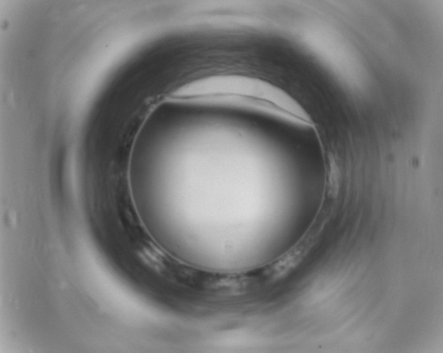 X0000070880383200607071954