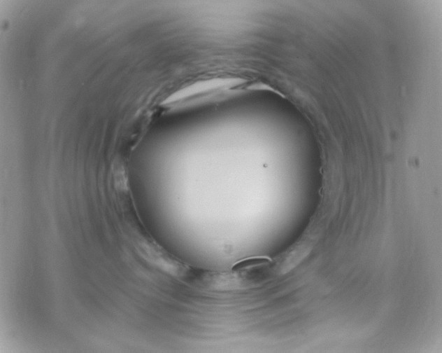 X0000070880384200607071954